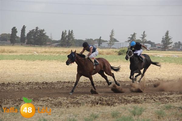 khoyoul lud 0610 (4).JPG